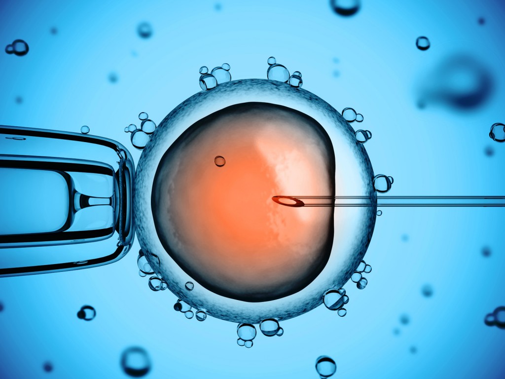 Fertilização In Vitro Fiv Dr Francisco Gonzaga 9369